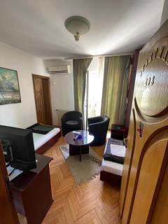 Vila Grinka M - Zaječar - 8