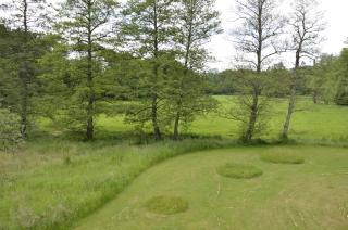 Goldschmiedsmühle - 4