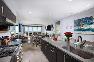 Water Front Spectacular Ocean View Large Balcony AC Pet Friendly - Oceanside - 1