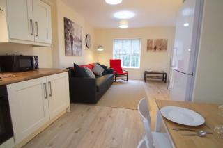 Newly refurbished village flat - Cullybackey - 2