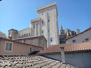 Loft vue Palais des Papes - Avignon - 3