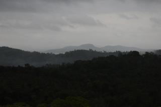 Tangumane ತಂಗುಮನೆ - 2