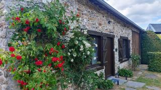 Gite : Le vi colombage de Petites-Tailles - Vielsalm - 2