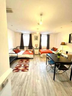 Spacious Studio flat in Central London - Londra - 4