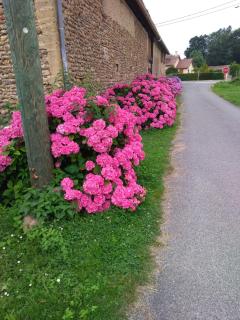 Clos A Malypense chez Mr Montamat - Galan - 1