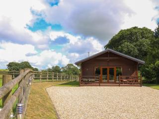 Barn Shelley Lodge - Copplestone - 0