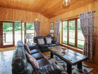 Barn Shelley Lodge - Copplestone - 4