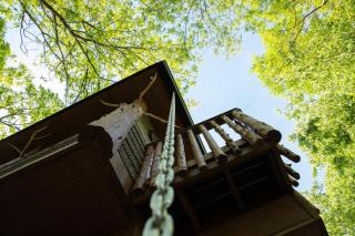 "Squirrels Gone Wild" Luxury Treehouse Adventure Near Dollywood & Pigeon Forge - 6