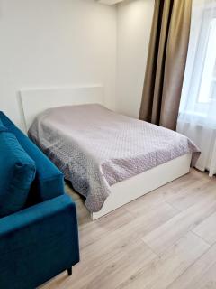 Apartments in Lazdijai - Lazdijai - 8