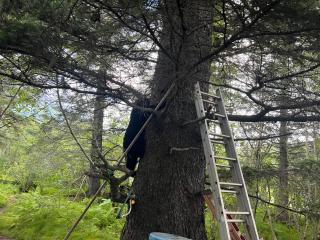 Resurrection River Rentals - 6