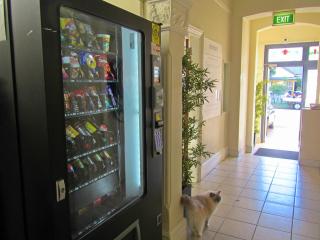 Manly Bunkhouse - Sydney - 5