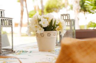 Alegre casa de verano en Sancti Petri - Cádiz - 6