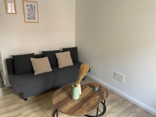 Charmant T2 à Lezennes - 9