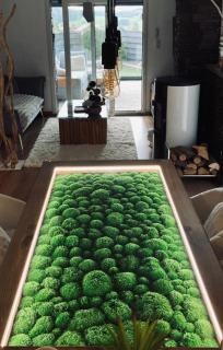 Un havre de quiétude au cœur des Montagnes - 1