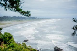 Seaside Meadow - Trinidad - 8
