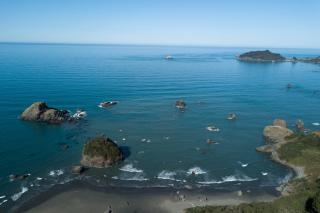 Seaside Meadow - 5