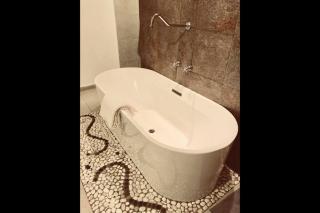 Loft Condesa - Città del Messico - 8