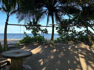 Caribbean View - Tortuguero - 1