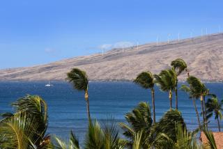 Nani Kai Hale 605 - Kihei - 2