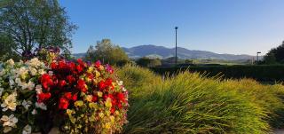 Lakeside Health & Wellness Resort - 9