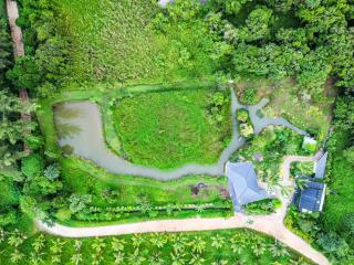 Quiet LakeHouse Appartement on Memory Beach road - Khao Lak - 4