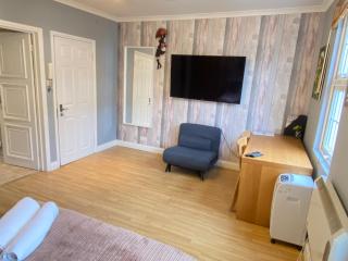 Immaculate Studio Apartment in Central London - Londra - 9