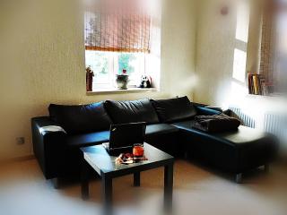 Ditton apartment city center - Daugavpils - 1