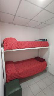 Los Cardones - Ruta40 - 6