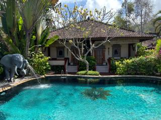 Pondok Bambu Resort - 5 Stars Padi Dive Centre - Candidasa - 4