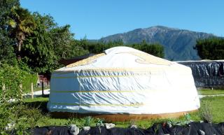 Wacky Stays - unique farm-stay glamping rentals, FREE animal feeding tours - Kaikoura - 9