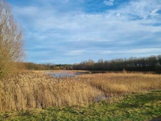 Luxe-Avontuur in een Romantische Cabin in het Bos - Stekene - 6