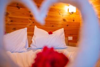 Apartments and bungalow Casa Palma - 1