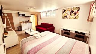 STUDIOS La Varenne Saint Maur entre PARIS ET DISNEYLAND - Saint-Maur-des-Fossés - 8