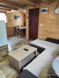 Vila Carobna suma Tara - 3