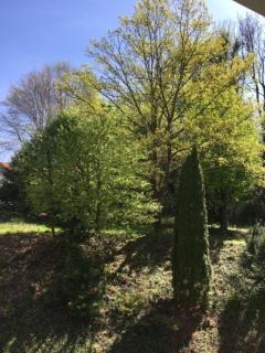 City Appartement - Bad Reichenhall - 9