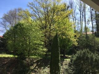 City Appartement - 6