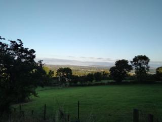 Ballywee guest house - - 4
