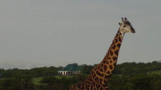 Narasha Homestay - Maasai Mara - Talek - 1
