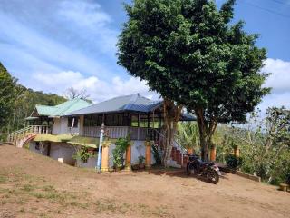 Punarjani Ayurvedic Resorts - Ramakkalmedu - 4