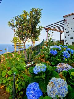 Casita Canaria con Vista - Breña Baja - 7