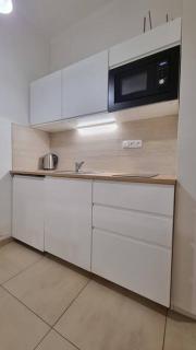 Finnem Rentals Kyjevská - Prag - 7