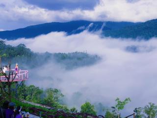 Săn Mây Coffee and Homestay Măng Đen - 2