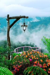 Săn Mây Coffee and Homestay Măng Đen - Kon Von Kla - 2
