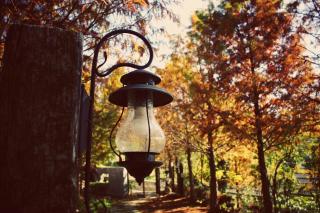 Lin Qi in my heart Villa - 7