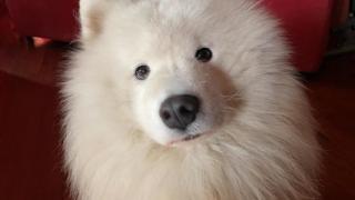 Casa Vacanza LA SCALETTA - 6