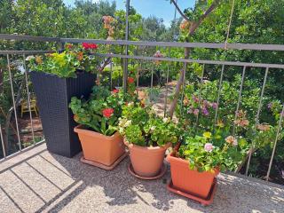 Apartman dida Jakov - Primošten - 7