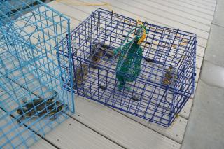 Heated pool, Family Fun, Tiki Bar, kayak, 3bd 2ba - 8