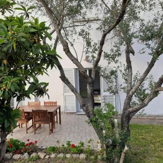 Apartman Pelargo - 8