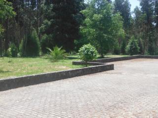 Hotel Alameda - Albergaria-a-Velha - 4