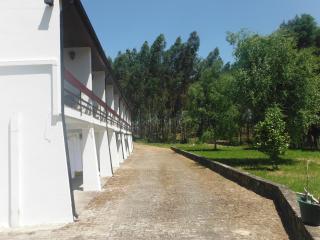 Hotel Alameda - Albergaria-a-Velha - 5